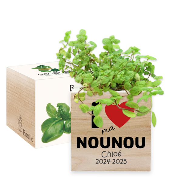 Ecocube merci nounou personnalisé - menthe