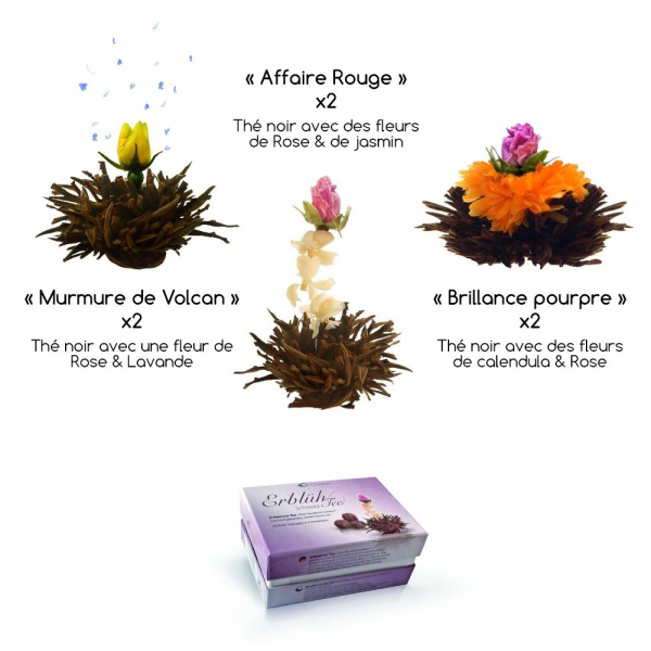La magie spectaculaire des fleurs de thé 