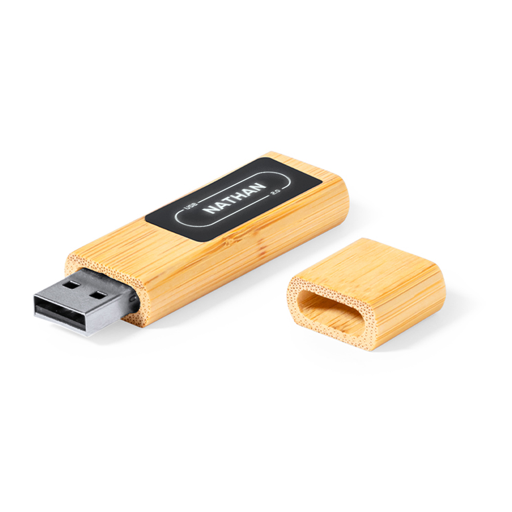 Mémoire USB personnalisée clé USB Promo cadeau 1 Go 2 Go 4 Go Clé USB 8